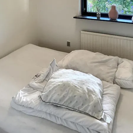 Pet Friendly In With Wifi