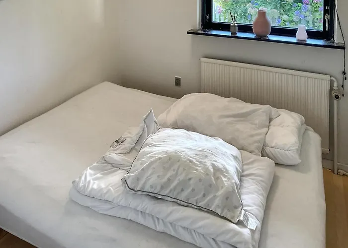 Pet Friendly In With Wifi